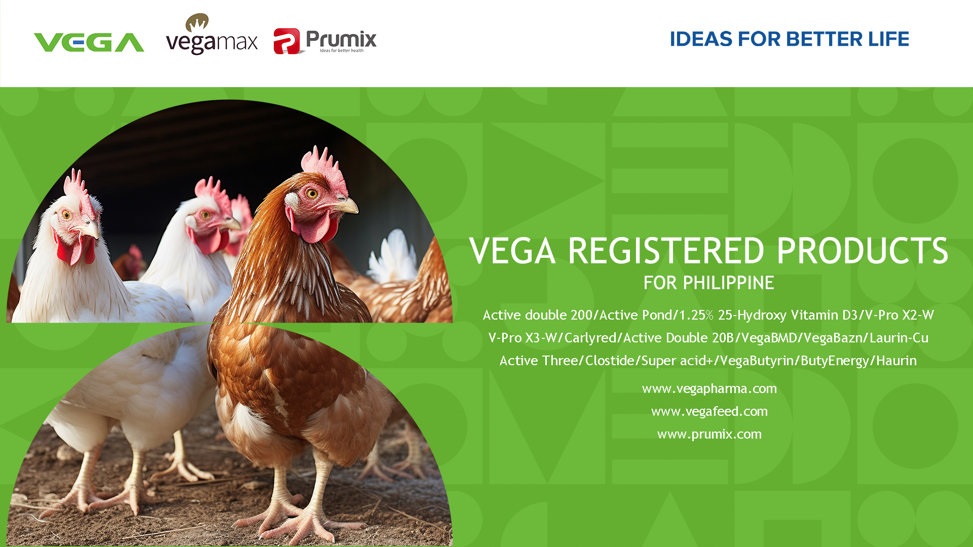VEGA Registered products for Philippine.jpg
